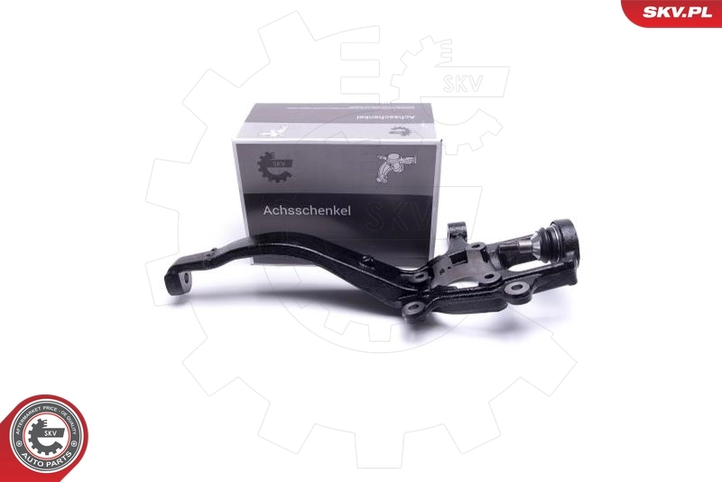 Steering Knuckle, wheel suspension
